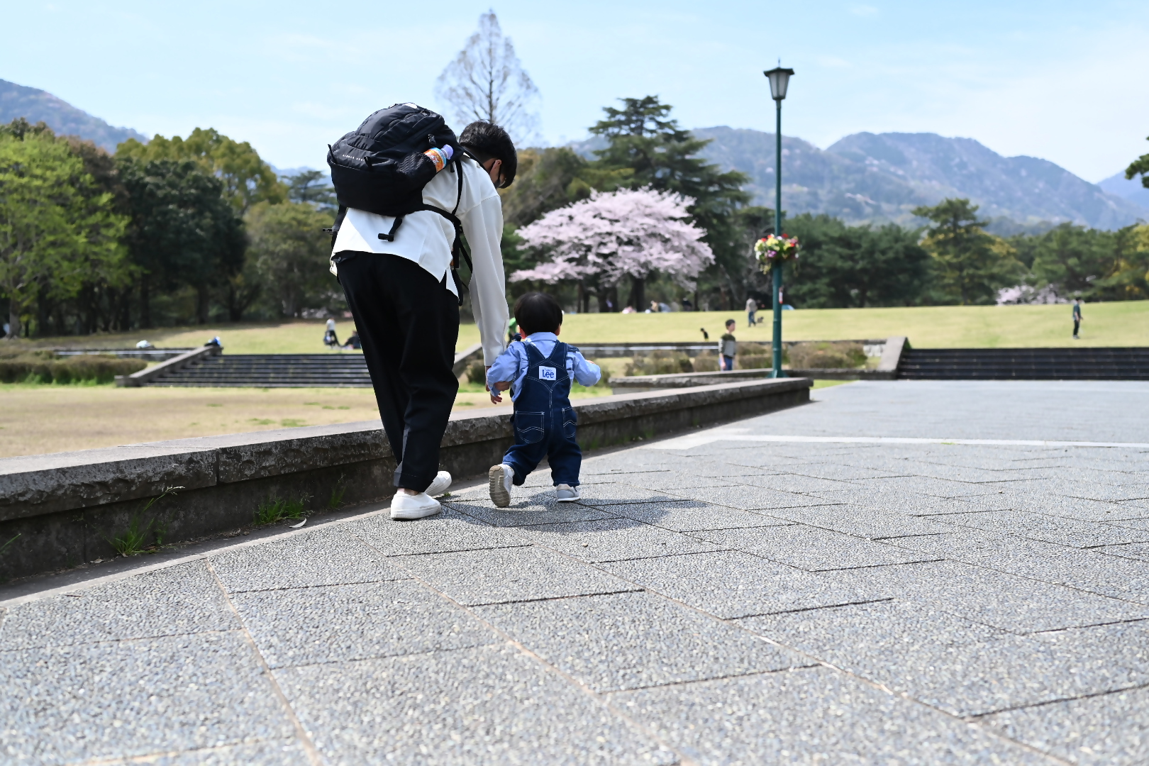 公園で散歩