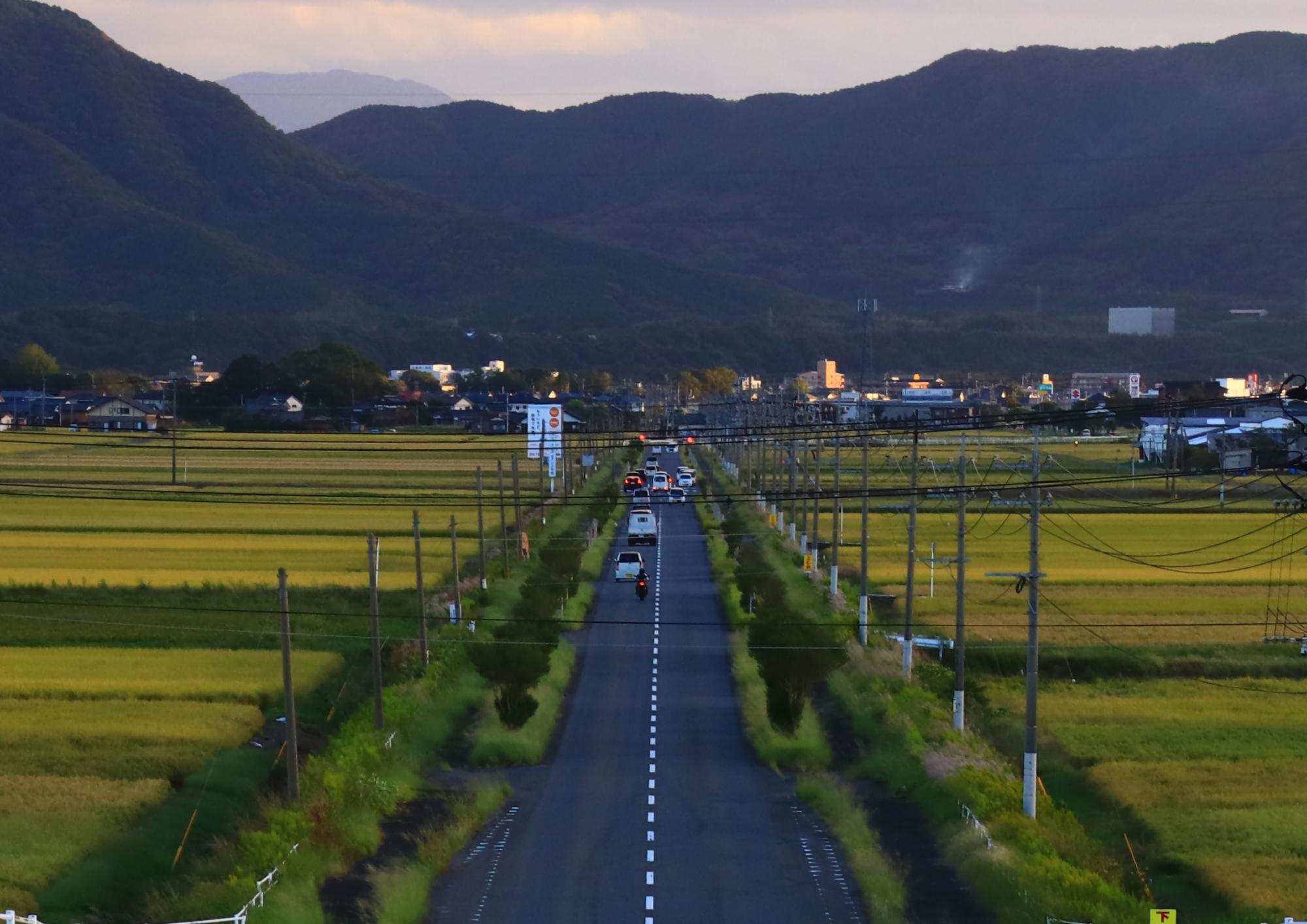 滑走路跡今は昔