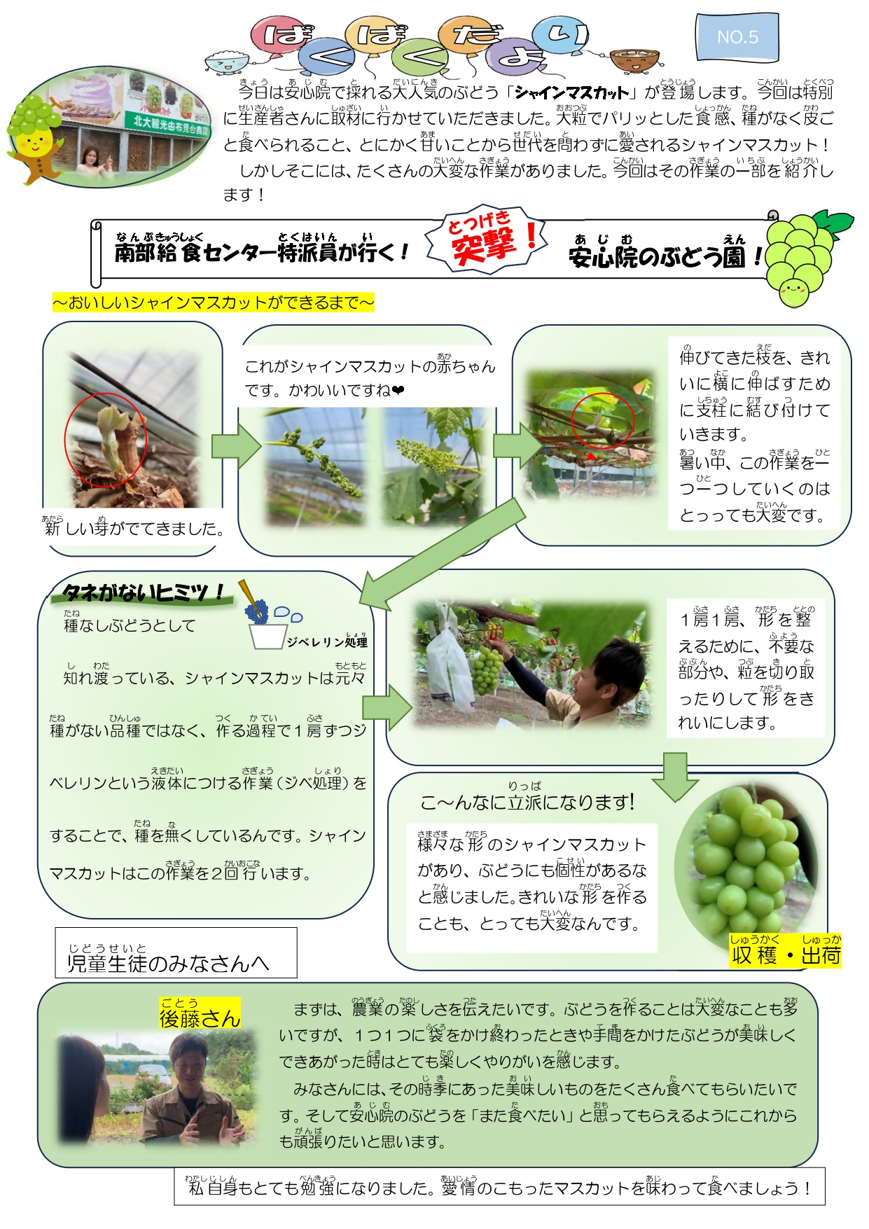 ぱくぱくだより シャインマスカット