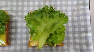パンにレタスを乗せる