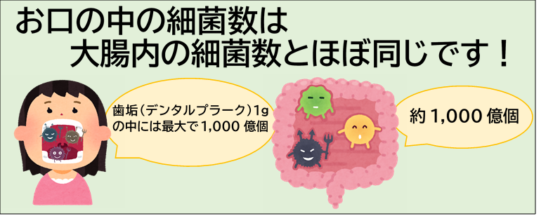 口内細菌と大腸内細菌同じ数