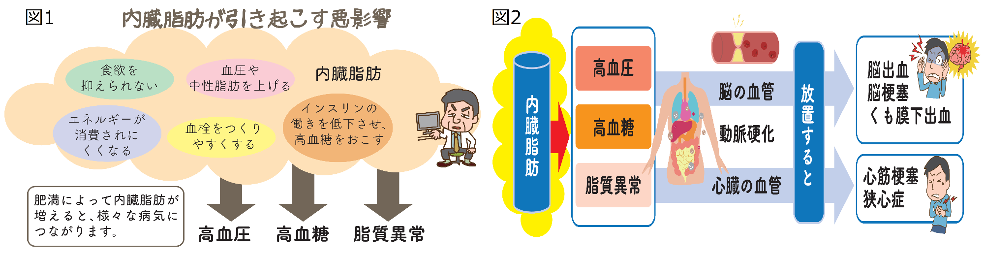 内臓メタボ