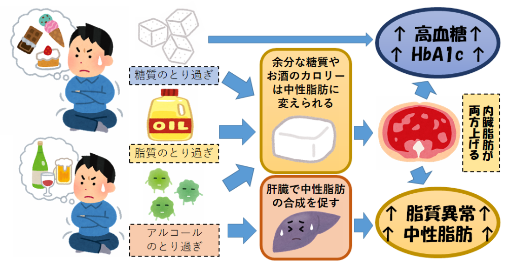 お菓子とお酒による血糖値と中性脂肪の上昇メカニズム
