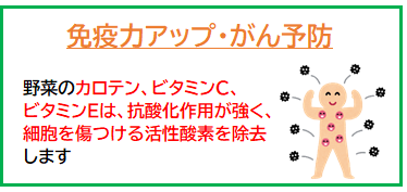 野菜の効果免疫アップ