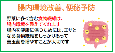 野菜の効果腸内環境をととのえる