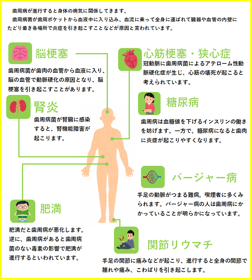 歯周病の全身への影響