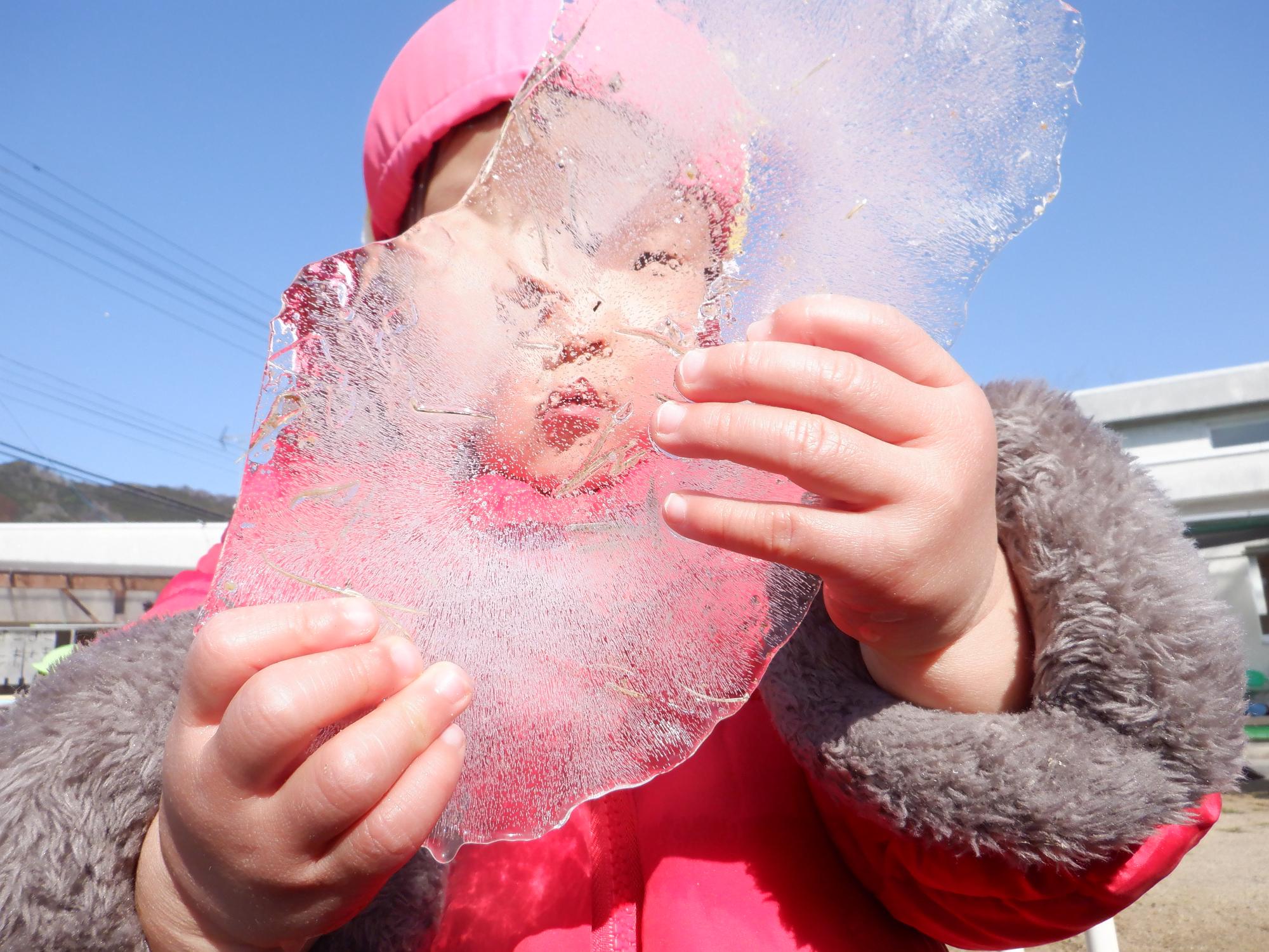 1歳児さんも氷を見つけて顔の前で透かして見ている。