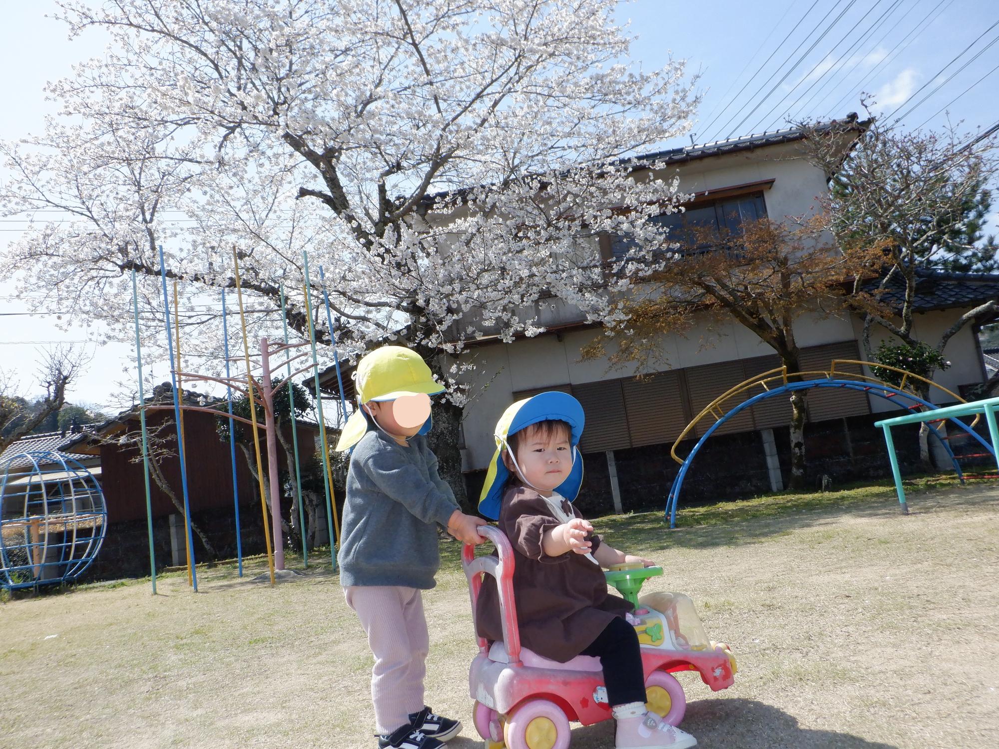 桜・子ども・アンパンマン・押し車