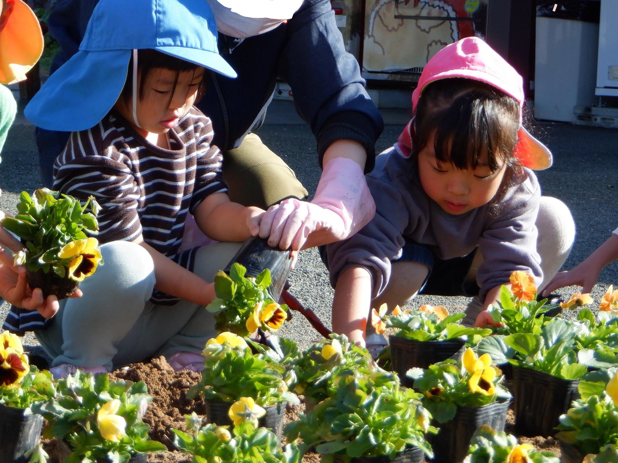 院内道の駅にて花植えをしている子ども達