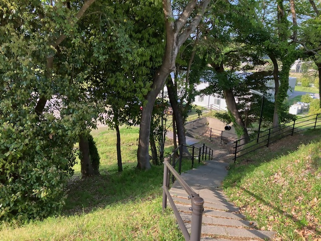 九州フセラシの木々