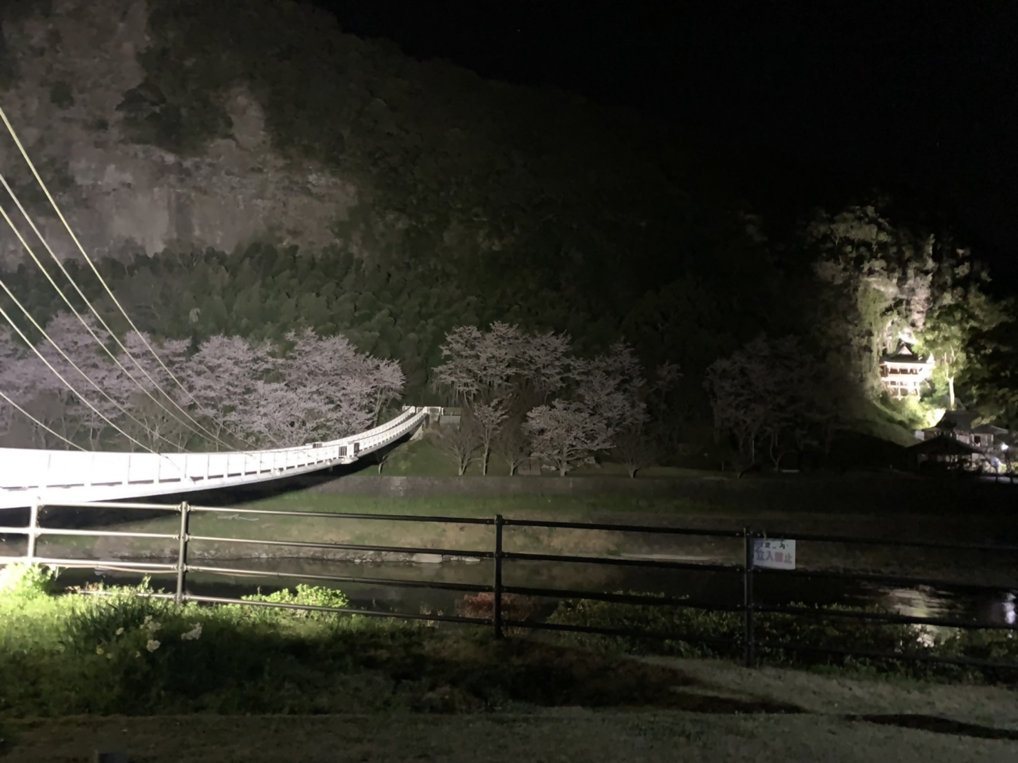 鷹栖つり橋公園ライトアップ