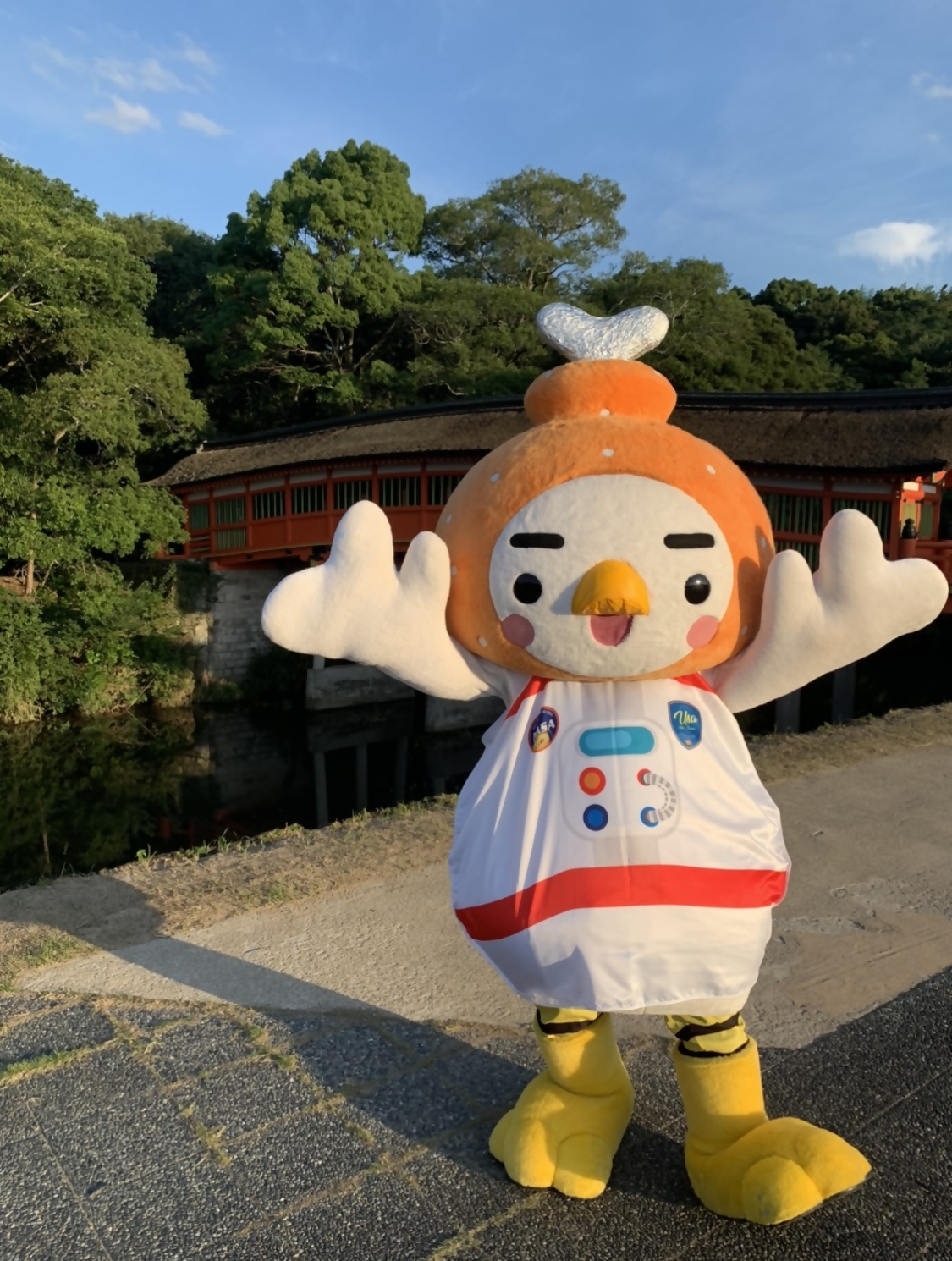 きてね~!