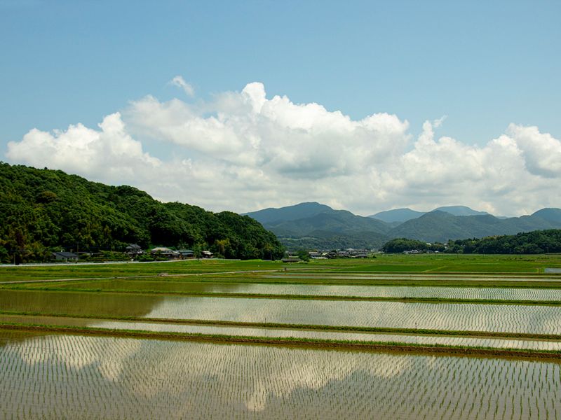 田宮(景色)