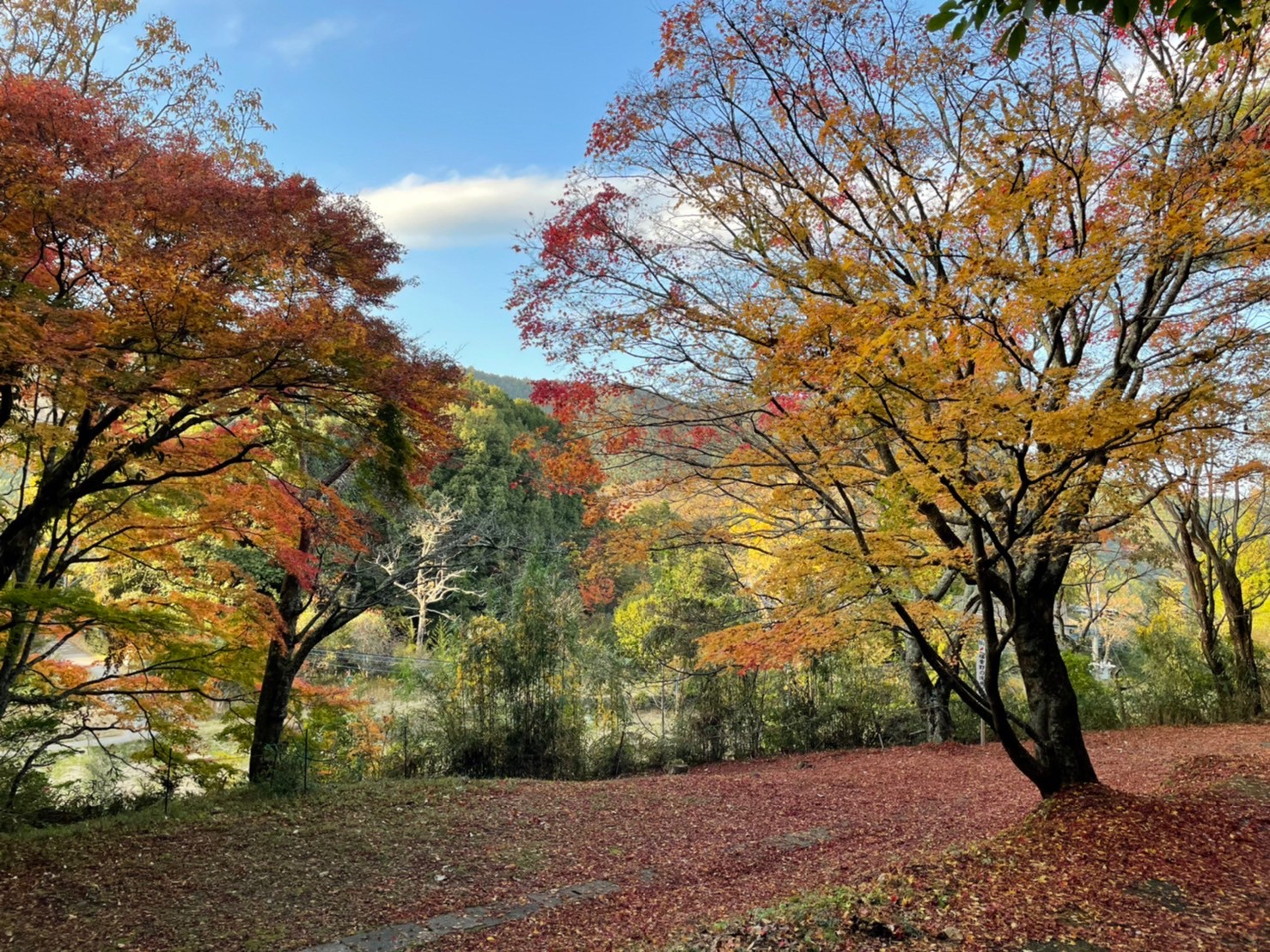 hukinonotakiyuuhodu