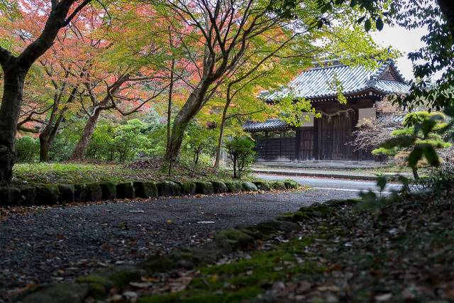 紅葉