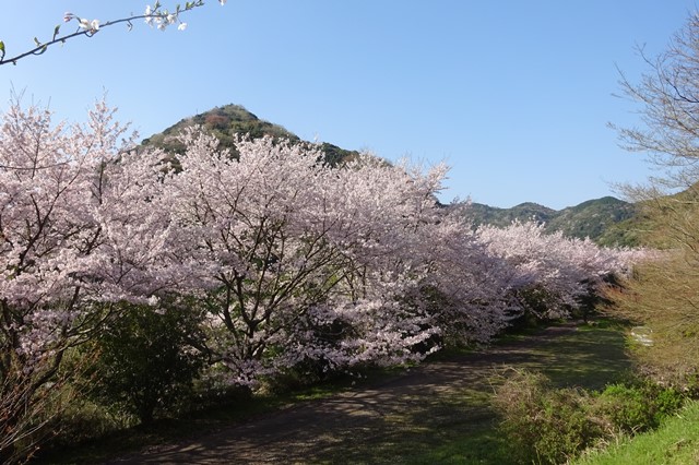 香下ダム