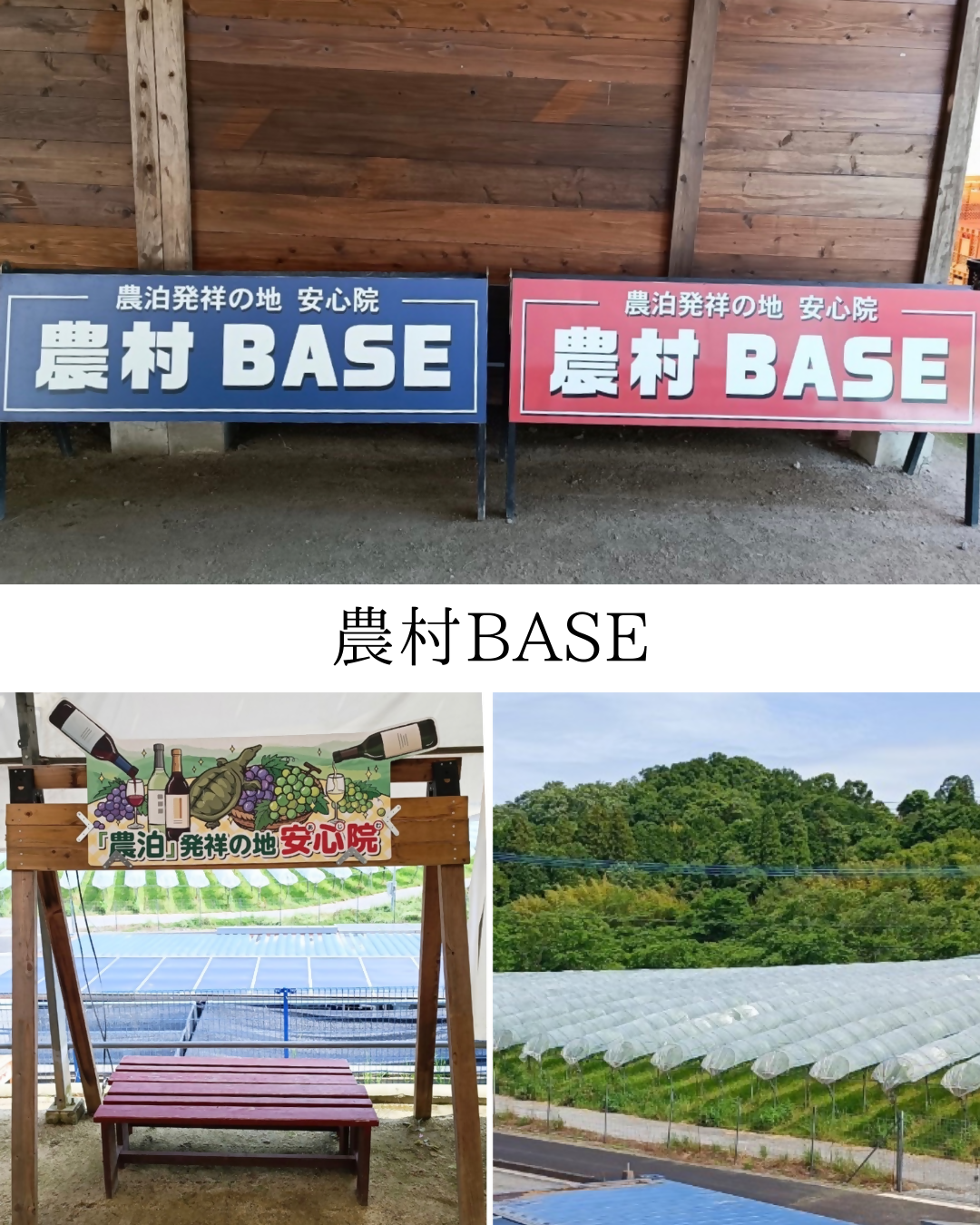 農村BASE