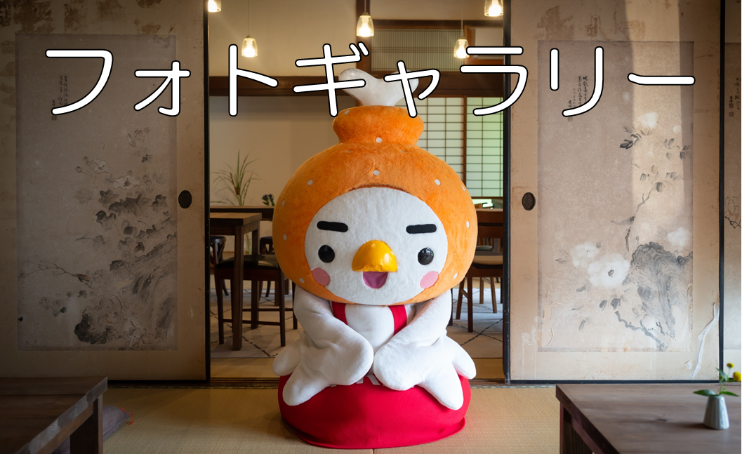 フォトギャラリー