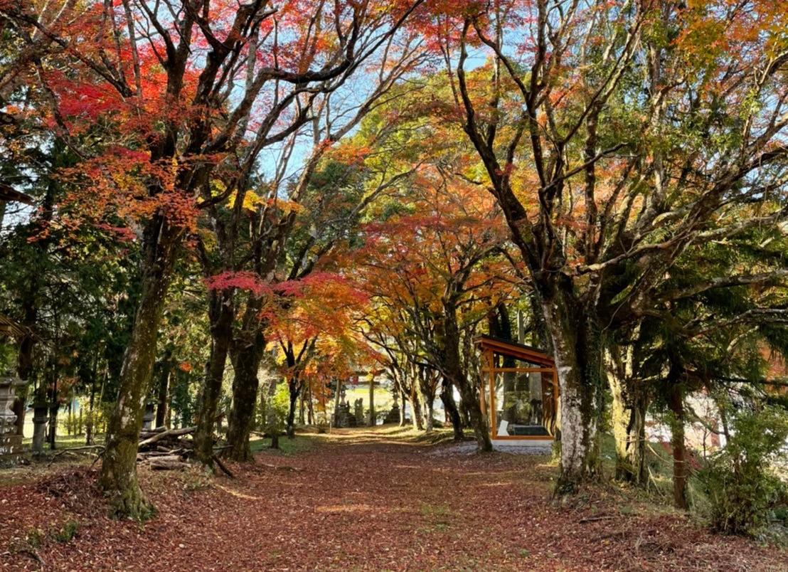 satajinnjyasanndou