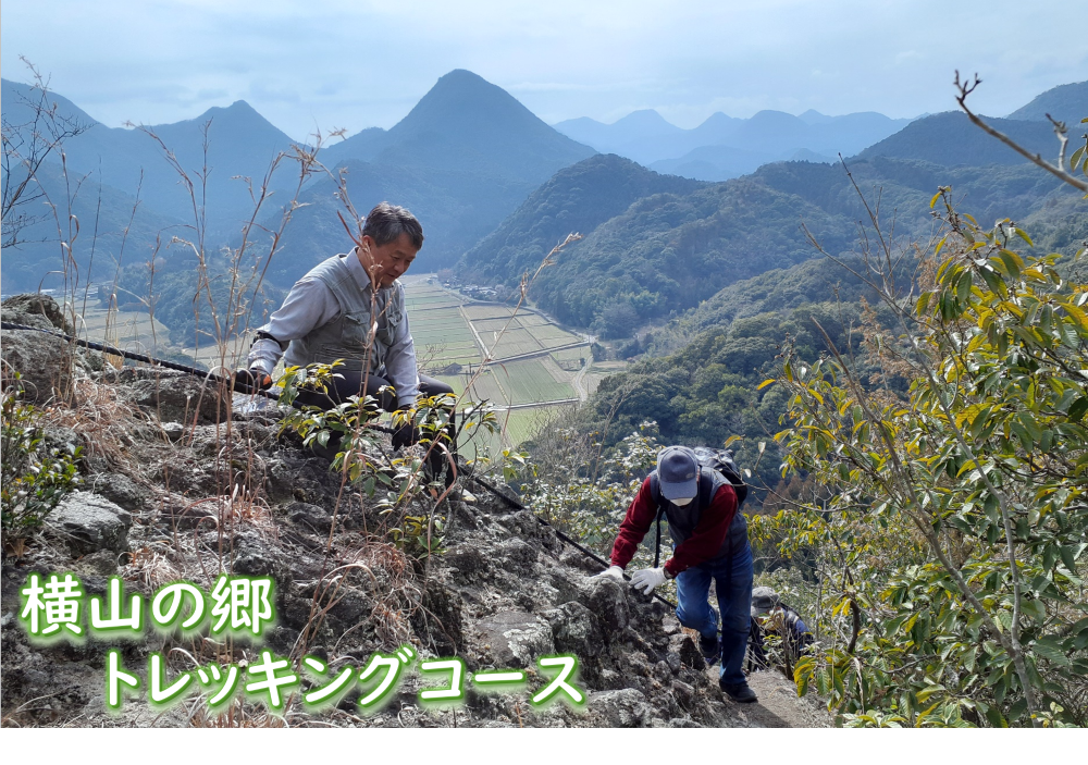 横山の郷トレッキングコース