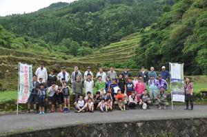 taue6