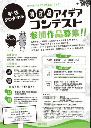 チラシ
