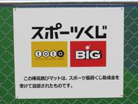 宇佐市平成の森公園陸上競技場棒高跳びマット設置事業