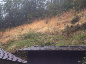 急傾斜地崩壊防止施設の設置前の写真2