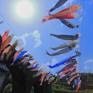 富士見橋のこいのぼり