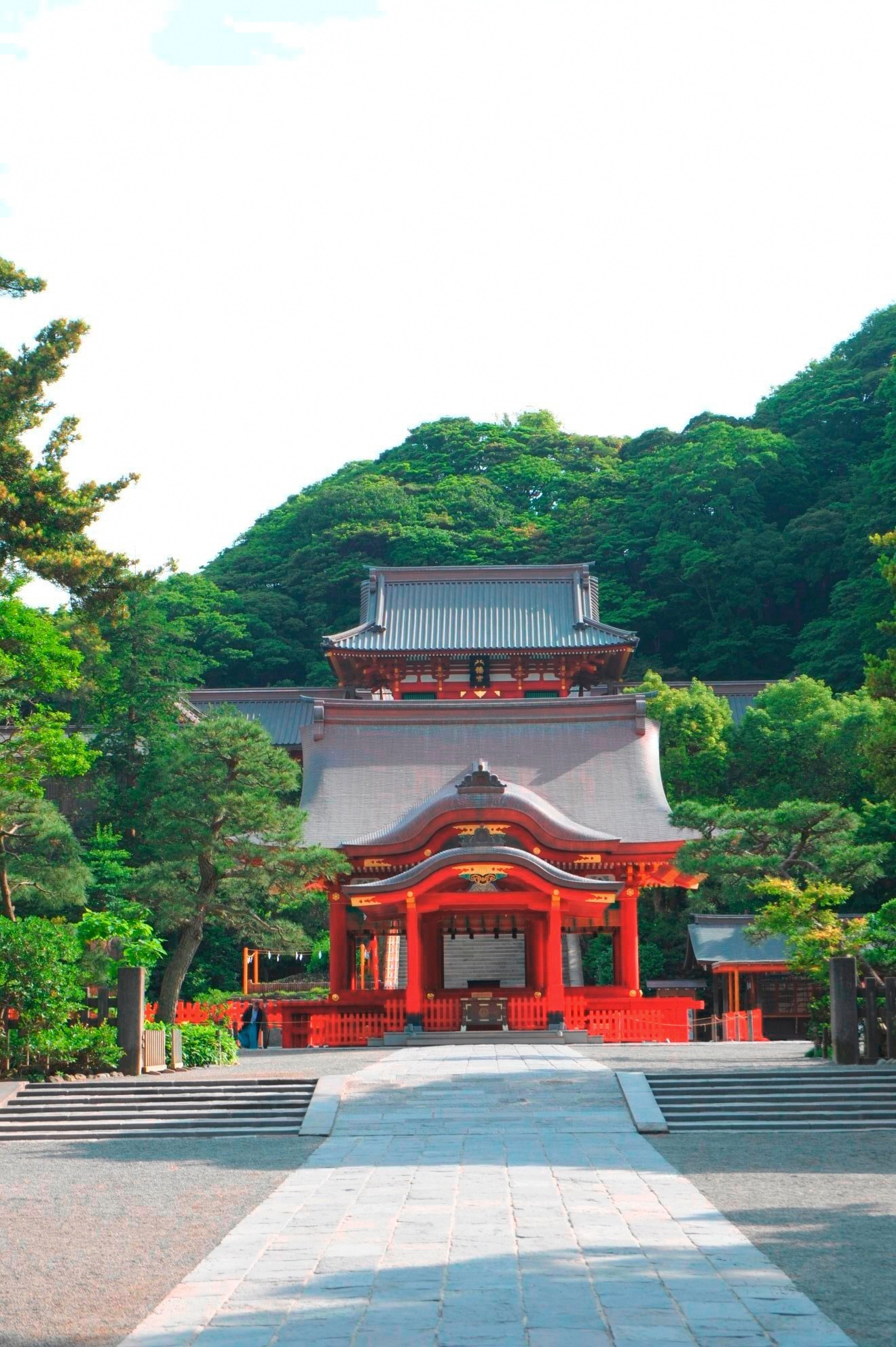 鶴岡八幡宮（神奈川県)