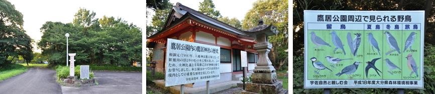 鷹居公園の写真です
