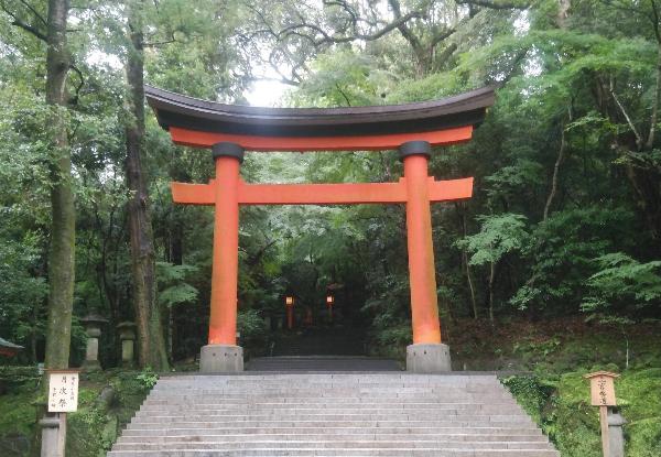 Usa torii style
