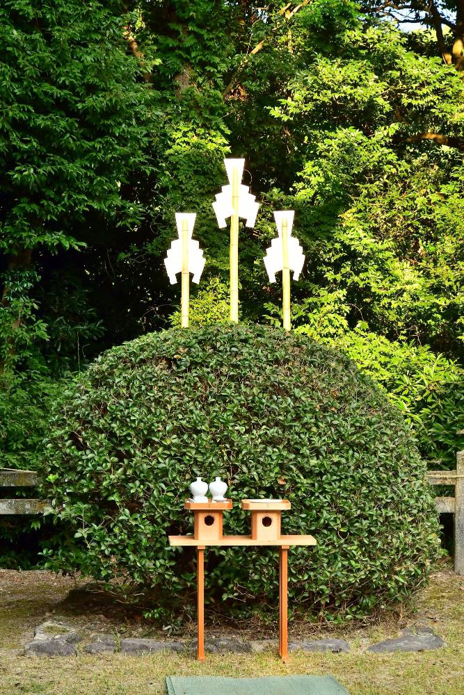 Three sacred gohei wands set in a holly bush