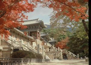 仏国寺:提供 慶州市