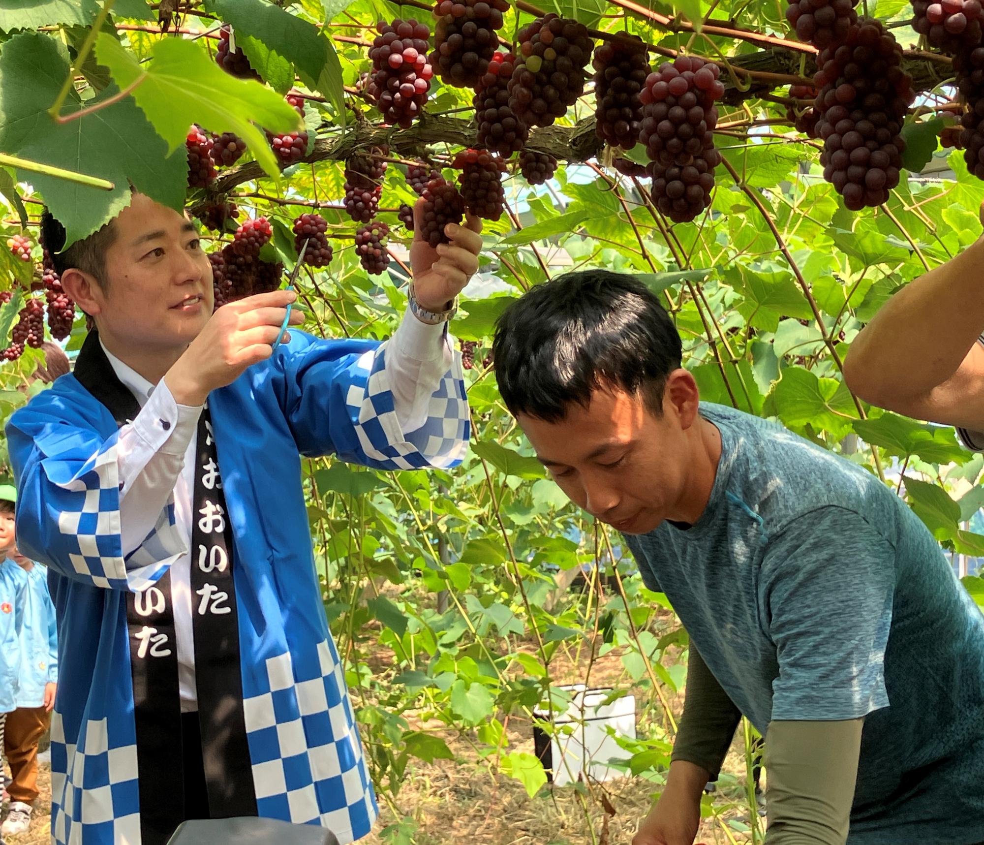 安心院ぶどう0618