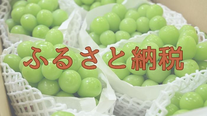 ふるさと納税
