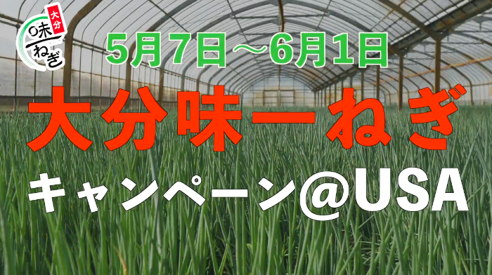 味一ねぎキャンペーン