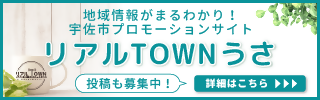 リアルTOWNうさ