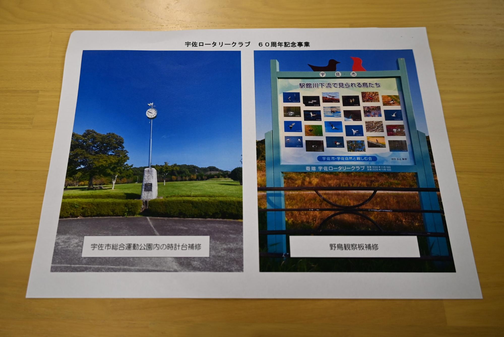 時計台、野鳥観察1211