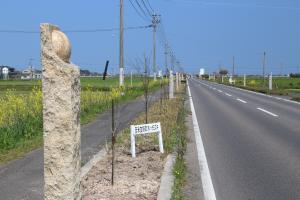 宇佐海軍航空隊滑走路跡