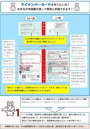 マイナンバーカードを作りたいリーフ