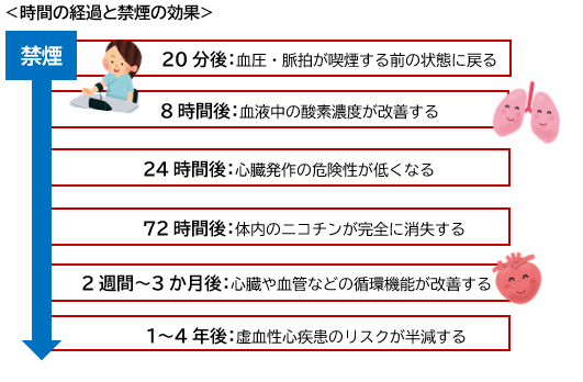 禁煙の際の時間経過及び効果
