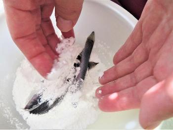 ドジョウ唐揚げ4