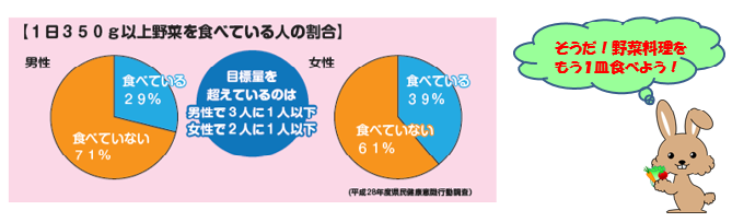 1日の野菜量