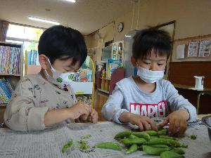 スナップえんどう