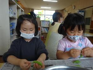 スナップえんどう