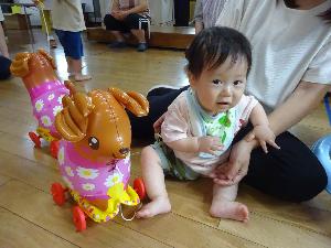 ワンワンお散歩