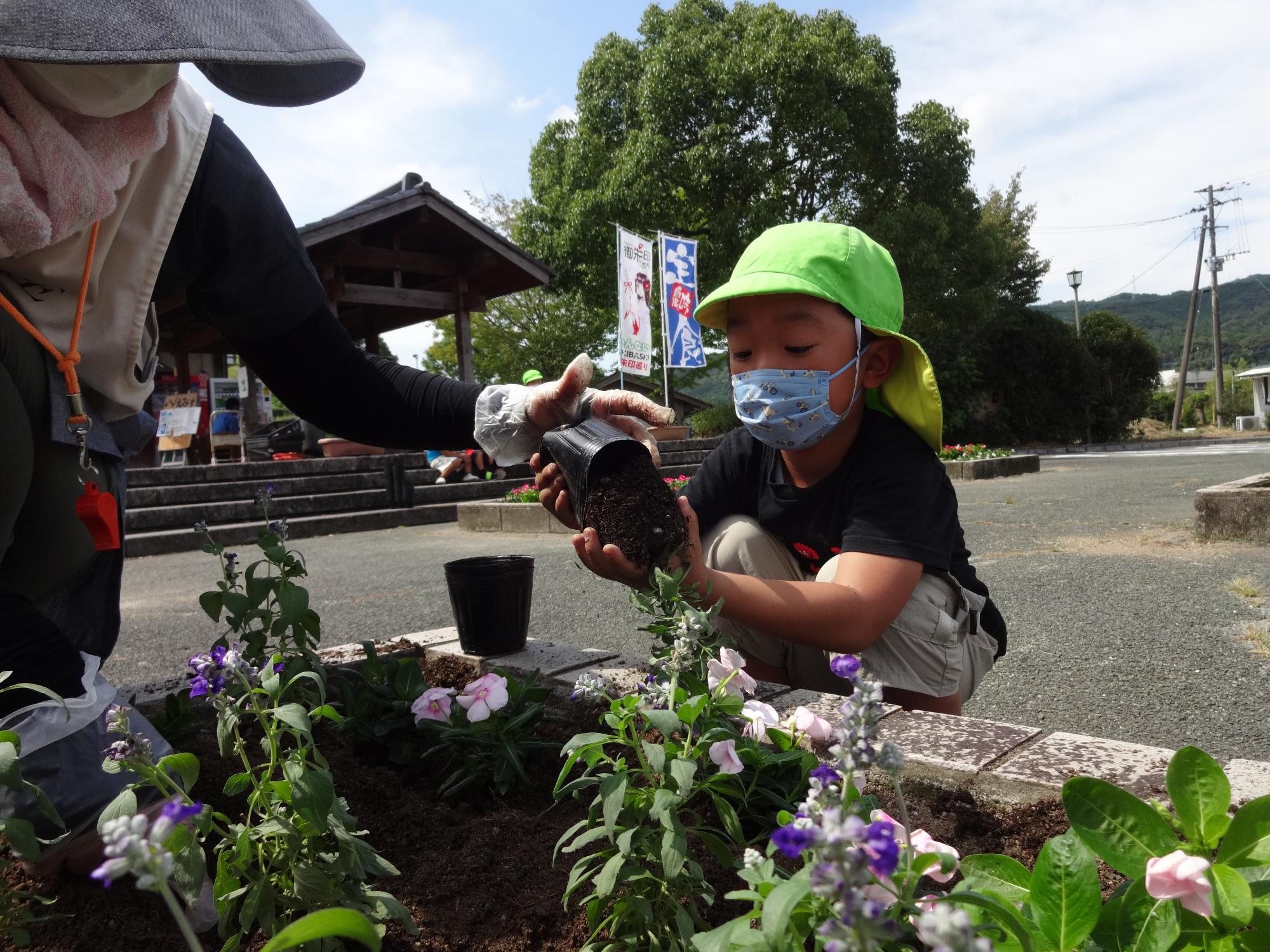 花苗植え付け