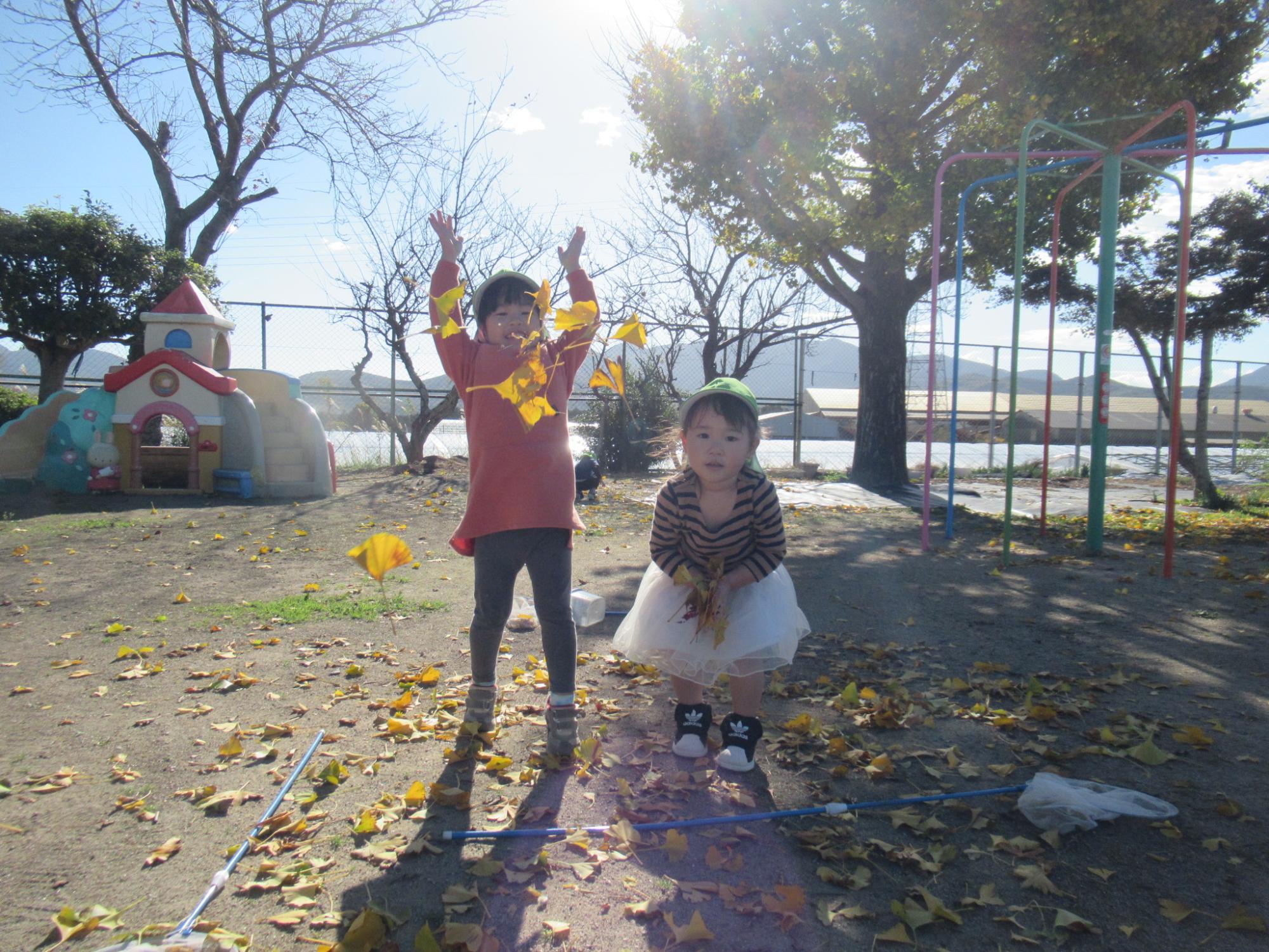 園庭のイチョウの葉っぱで遊んでます♪