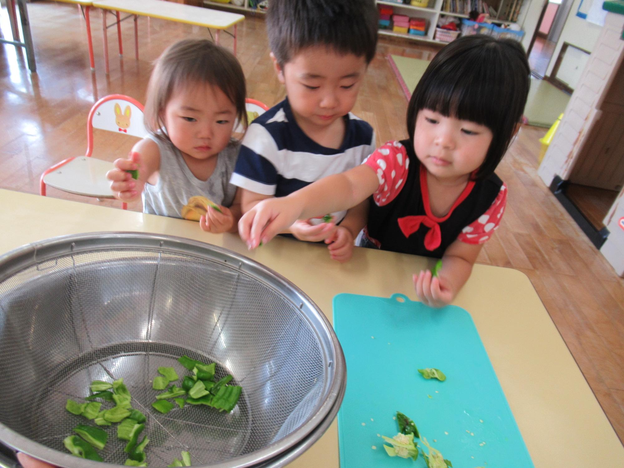 1,2歳児のピーマンちぎり